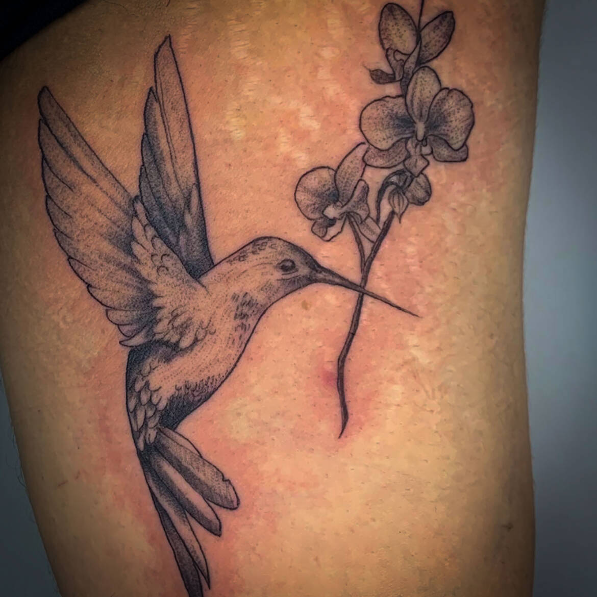 fine-line-tattoo-colibri.jpg