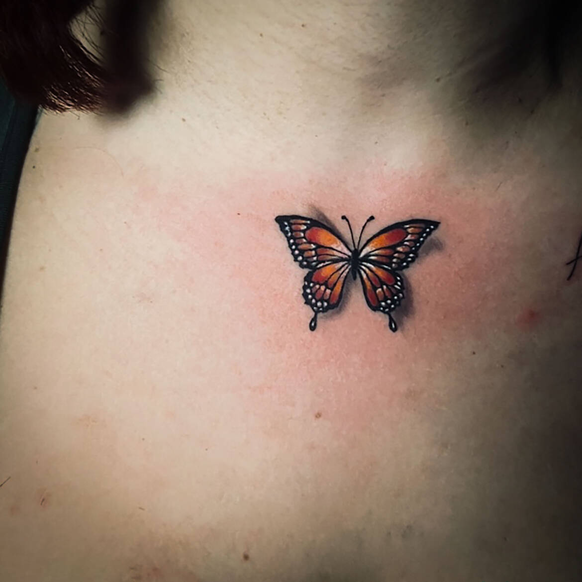 mariposas-color-tatuaje.jpg